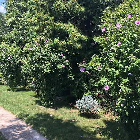 Terrazza * Balatongyörök