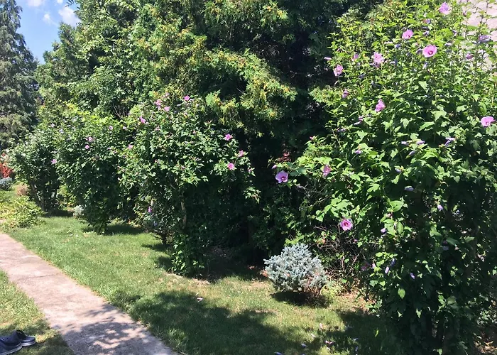 Terrazza * Balatongyörök